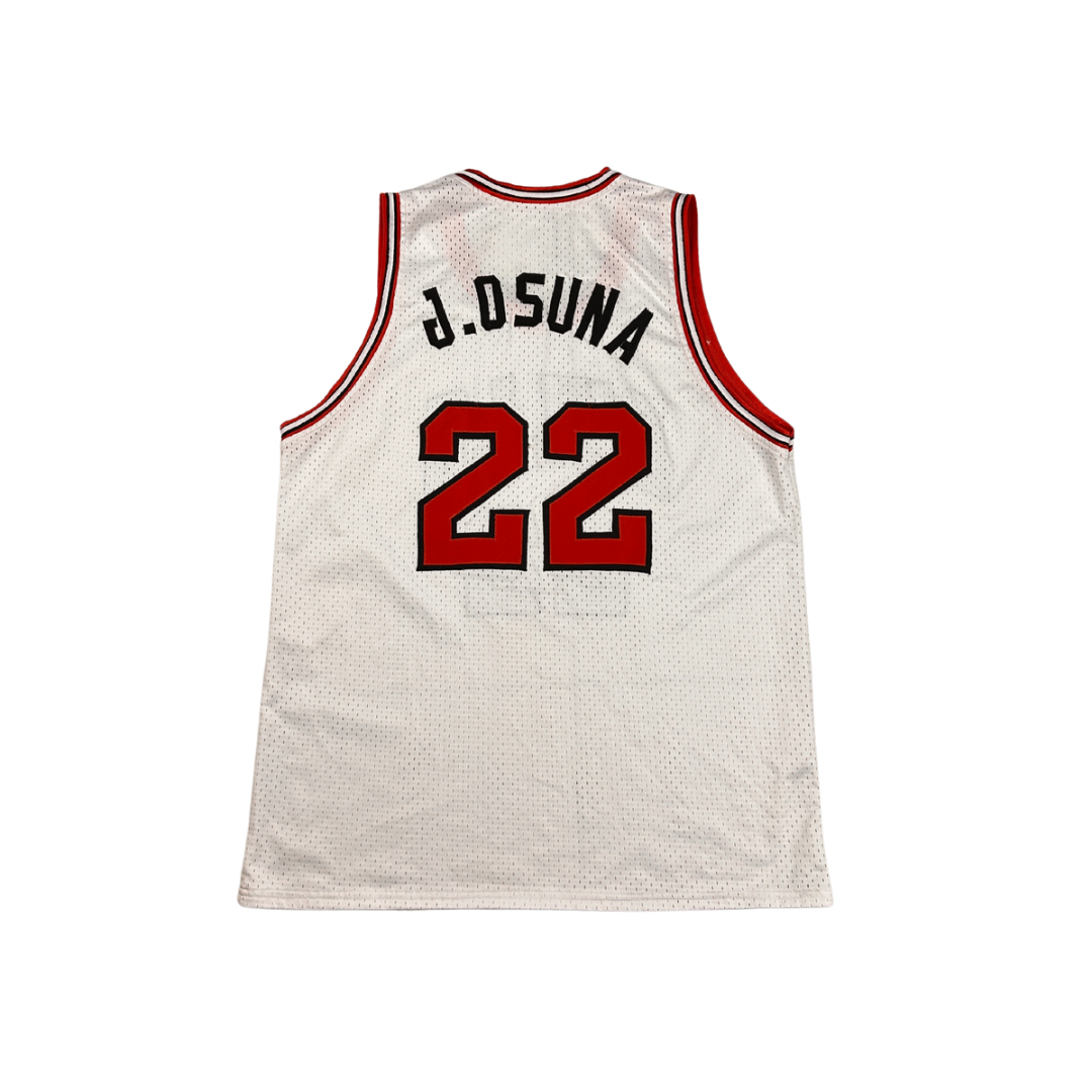 NBA Bulls jersey